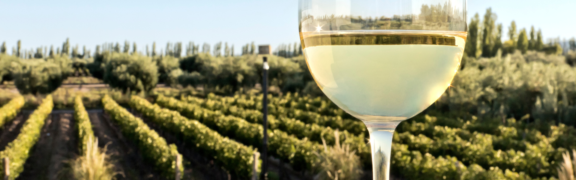 Gavi del Comune di Gavi